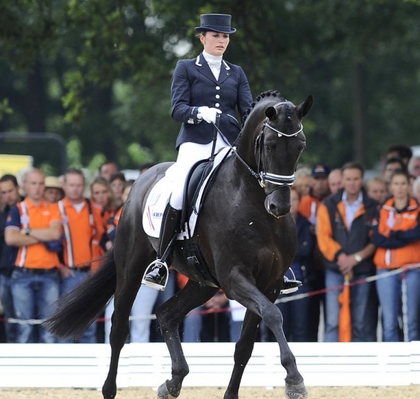 Astrix KWPN Dressage Stallion