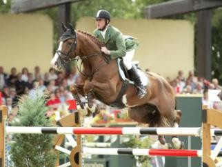 Top ranked Show Jumping Stallions-For Plesaure