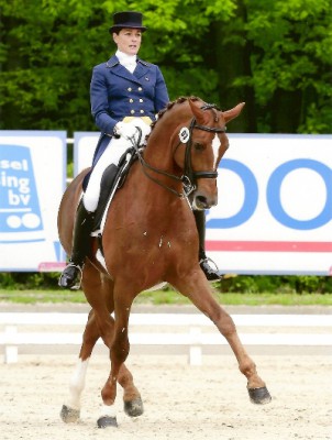 Woodcroft Garuda K a stallion British Breeding Futurity graded progeny