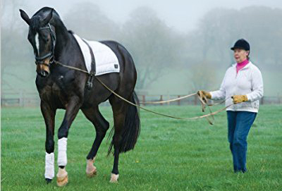 Jennie Loriston Clarke profiled professional rider on Horse Socut