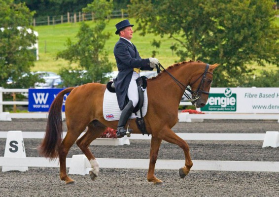 Matt Hicks - Dressage and Eventing trainer