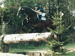 Catherston Liberator Thoroughbred Event Stallion