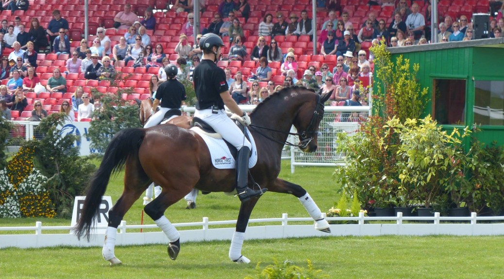 dressage_rider_charlie_hutton_profiled_on_horse_scout