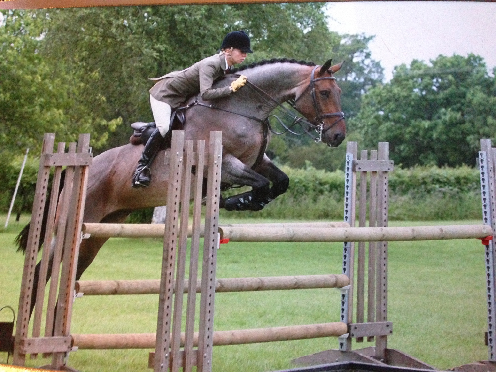 former_event_rider_louise_anne_bell_talks_to_horse_scout