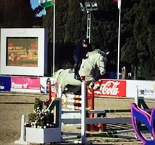 young_show_jumper_for_sale_on_Horse_scout