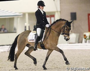 fei-dressage-pony-for-sale-on-horse-scout-remco