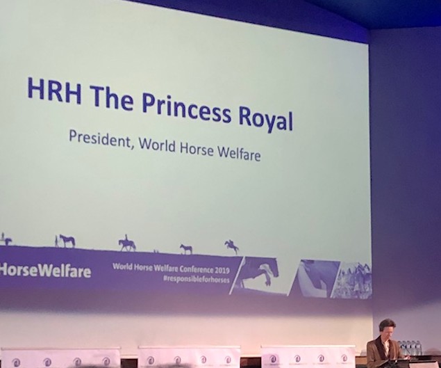 Princess Anne - World Horse Welfare