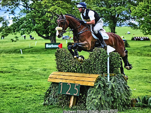 Top event horse for sale