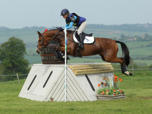 Exceptional 3* event horse for sale